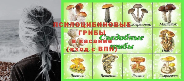 дмт Майский